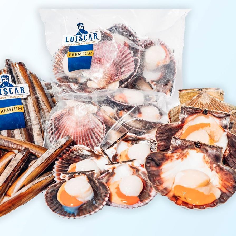 pagina en construccion